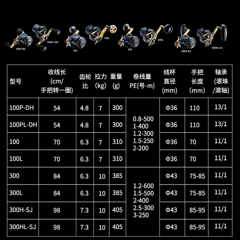 21 Japanische DAIWA Daiwa SALT – Baitcasting Reel Bewertung und Preis