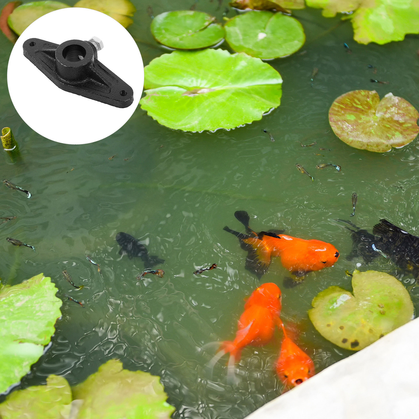 Fischrollen-Kurbelgriff, Schwa – Spinning Reel Bewertung und Preis