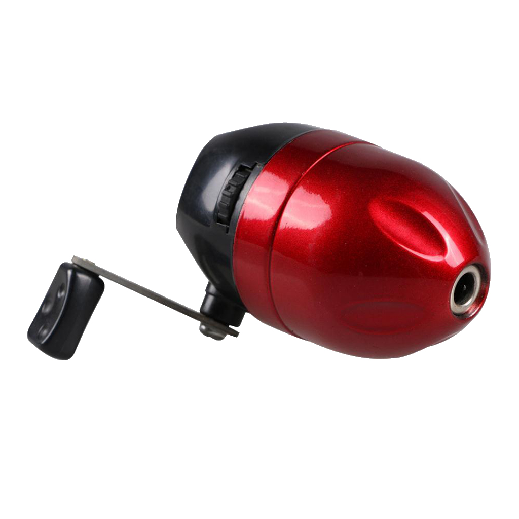 Bogenfischerei-Rolle mit Einst – Spincast Reel Bewertung und Preis